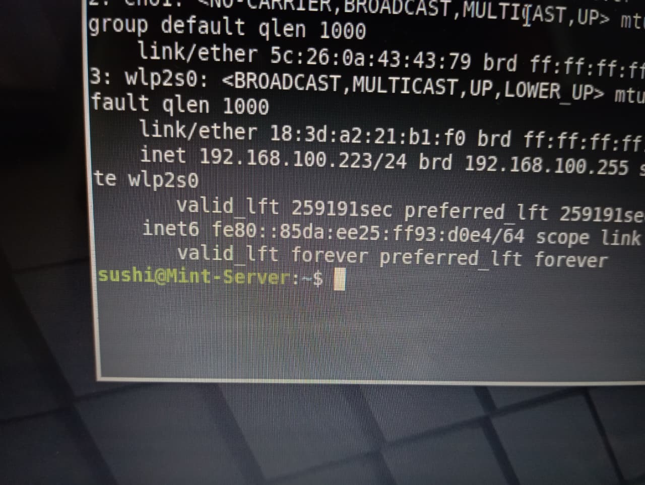 Mint-Server_ip_adress
