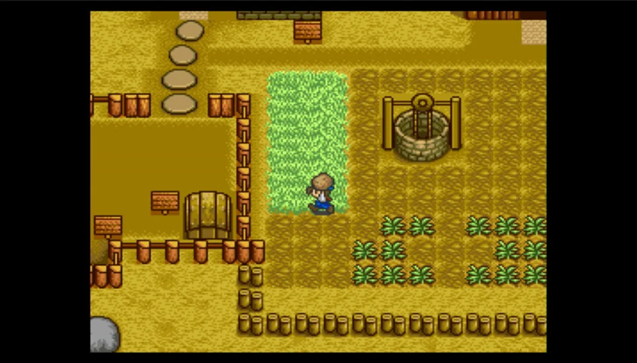 Harvest Moon (SNES) cover